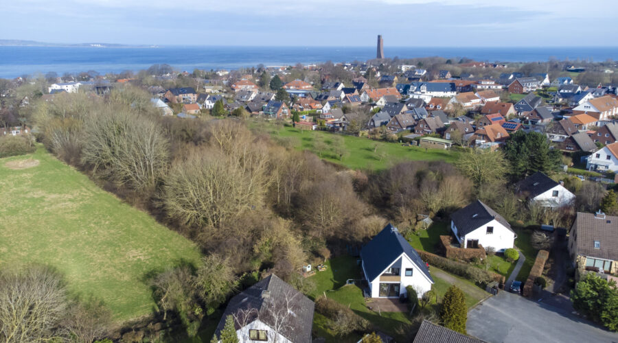 DJI_0485
